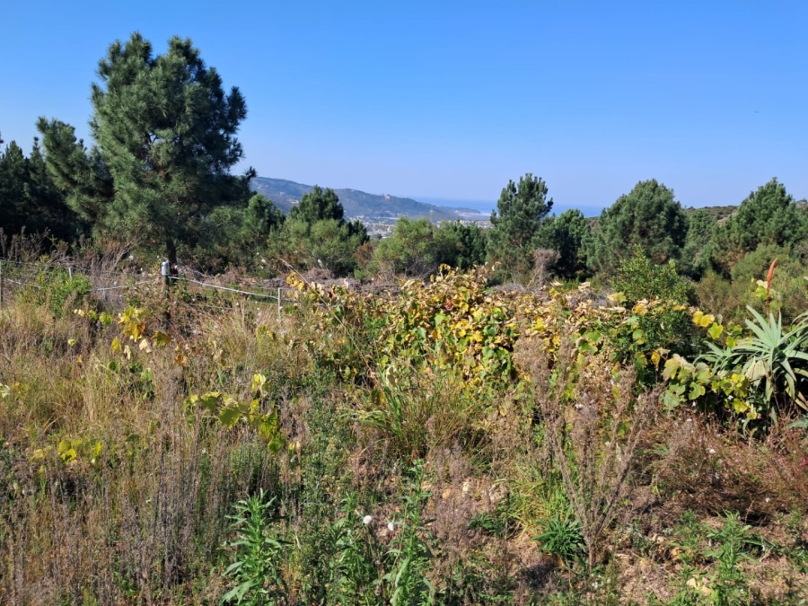 2 Bedroom Property for Sale in Rheeboksfontein Western Cape